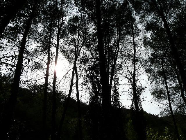 Imagen de Chelva mapa 46176 5 