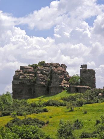 Imagen de Chequilla mapa 19310 1 