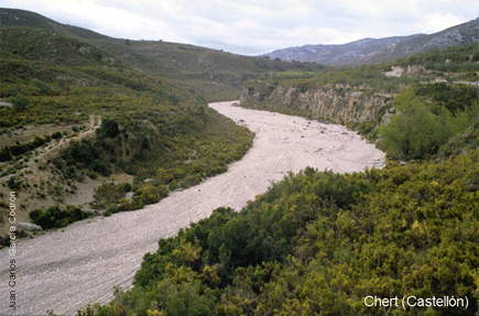Imagen de Chert mapa 12360 6 