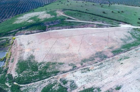 Imagen de Chiclana de Segura mapa 23264 5 