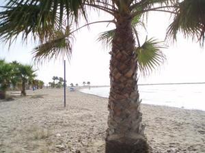 Imagen de Chilches mapa 12592 4 