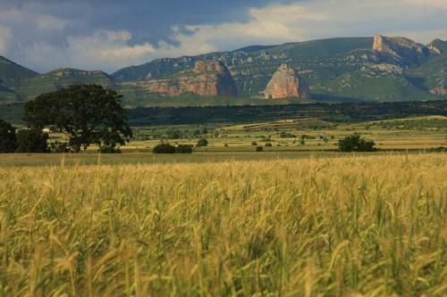Imagen de Chimillas mapa 22194 3 