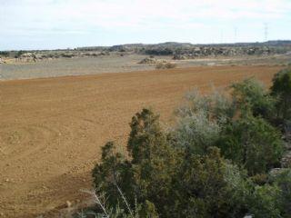 Imagen de Chiprana mapa 50792 5 