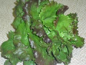 Imagen de Chueca mapa 45113 4 