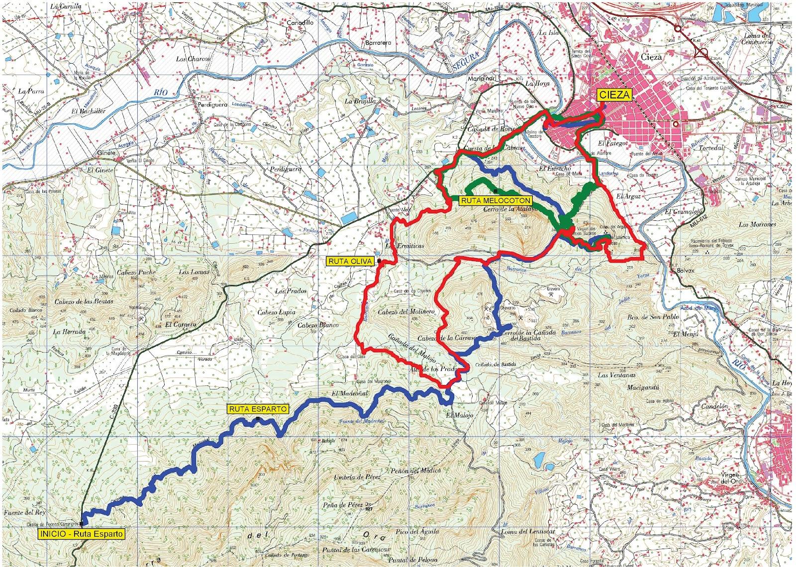 Imagen de Cieza mapa 30530 4 