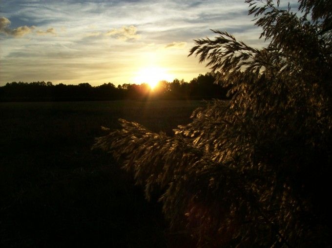 Imagen de Cihuri mapa 26210 3 