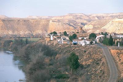 Imagen de Cinco Olivas mapa 50782 1 