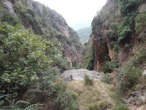 Imagen de Cirat mapa 12231 3 