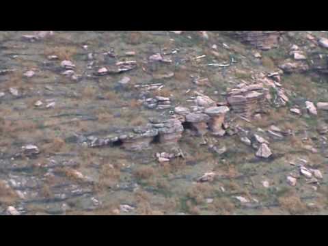 Imagen de Ciruelos del Pinar mapa 19285 4 