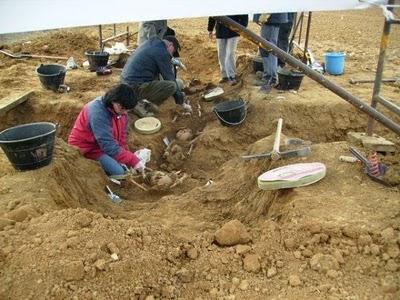 Imagen de Cisneros mapa 34320 6 