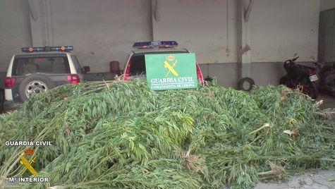 Imagen de Cistella mapa 17741 2 