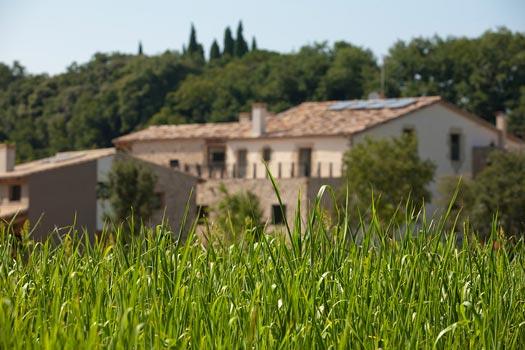 Imagen de Cistella mapa 17741 4 