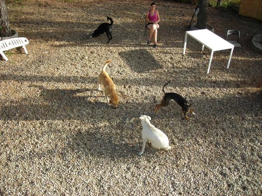 Imagen de Collbató mapa 08293 5 