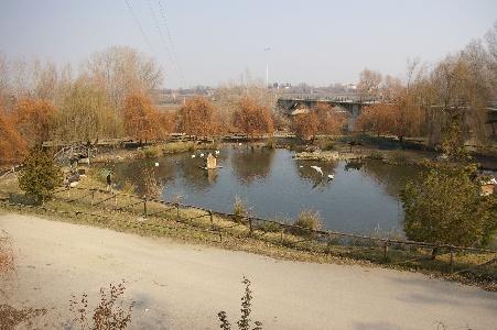 Imagen de Corbins mapa 25137 5 