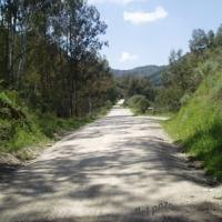 Imagen de Coripe mapa 41780 6 