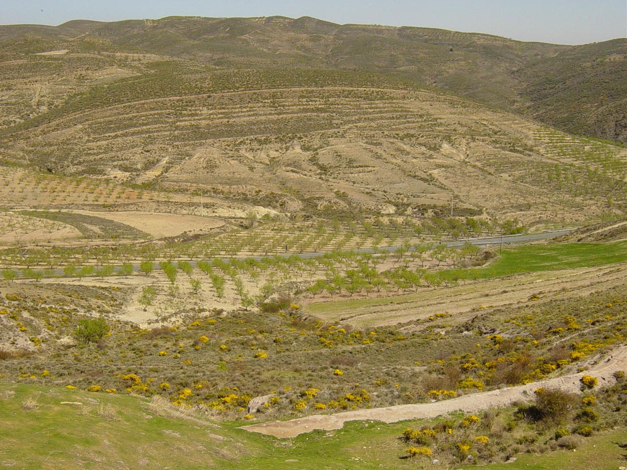 Imagen de Cornago mapa 26526 6 