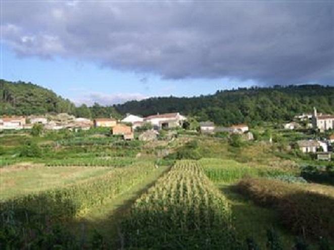 Imagen de Cortegada mapa 32200 5 