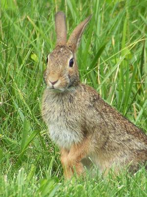 Imagen de Cózar mapa 13345 5 