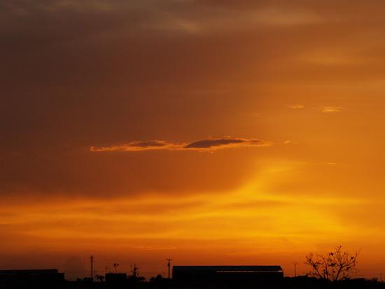 Imagen de Cuerva mapa 45126 2 