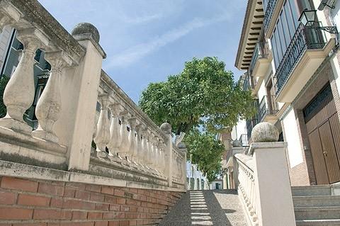 Imagen de Cuevas Bajas mapa 29220 6 