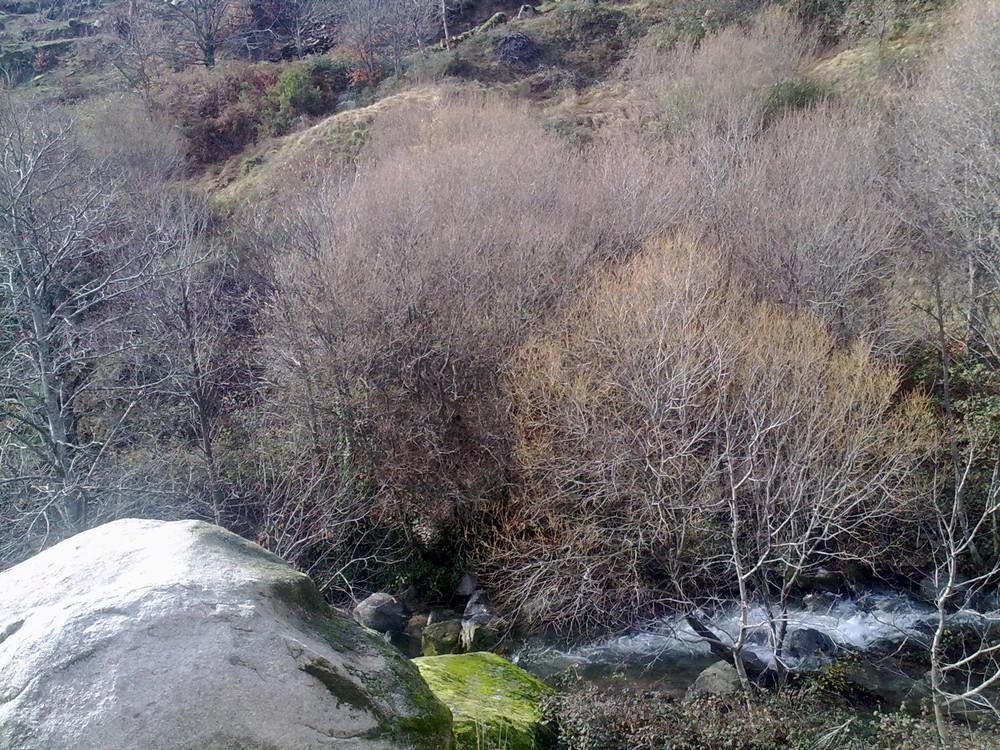 Imagen de Cuevas del Valle mapa 05414 6 