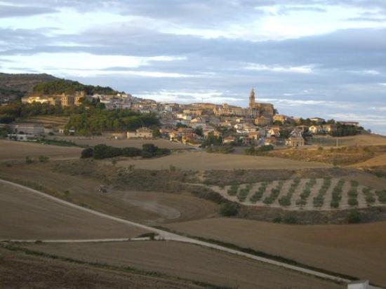 Imagen de Dicastillo mapa 31263 4 