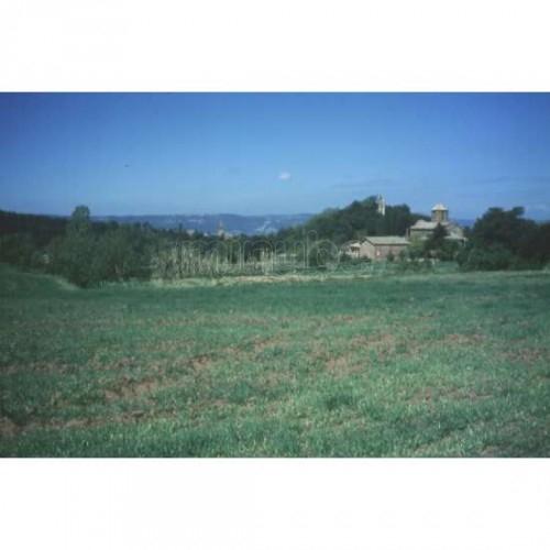 Imagen de El Brull mapa 08559 3 