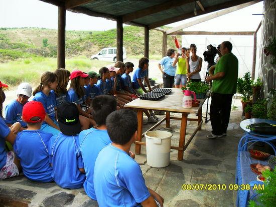 Imagen de El Campillo de la Jara mapa 45578 4 