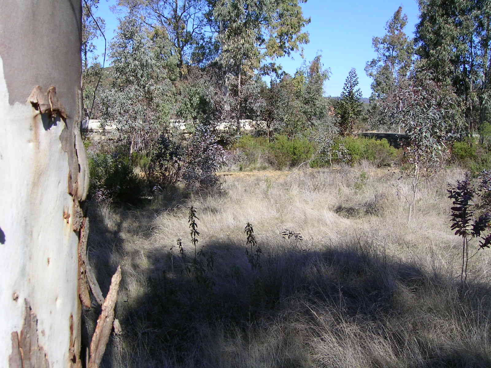 Imagen de El Cerro mapa 21320 5 