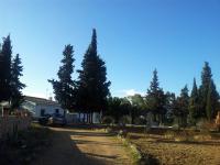 Imagen de El Garrobo mapa 41888 6 