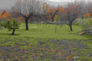 Imagen de El Hornillo mapa 05415 5 