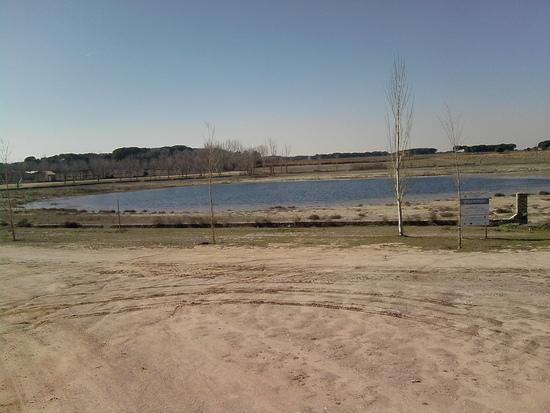 Imagen de El Pedernoso mapa 16638 3 