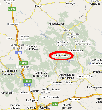Imagen de El Pedroso mapa 41360 1 