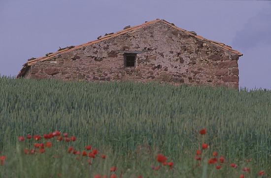 Imagen de El Pobo de Dueñas mapa 19326 5 