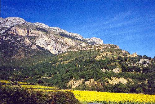 Imagen de El Pueyo de Araguás mapa 22338 2 