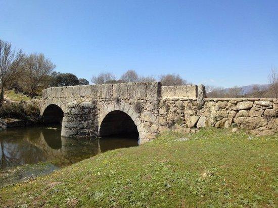 Imagen de El Real de San Vicente mapa 45640 6 