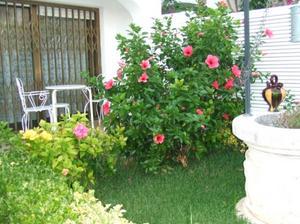 Imagen de El Vendrell mapa 43700 3 