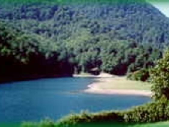 Imagen de Elgorriaga mapa 31744 5 