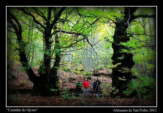 Imagen de Eljas mapa 10891 5 