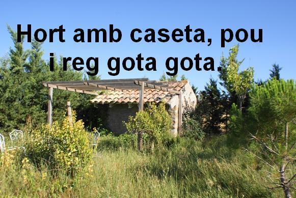 Imagen de Els Plans de Sió mapa 25212 2 