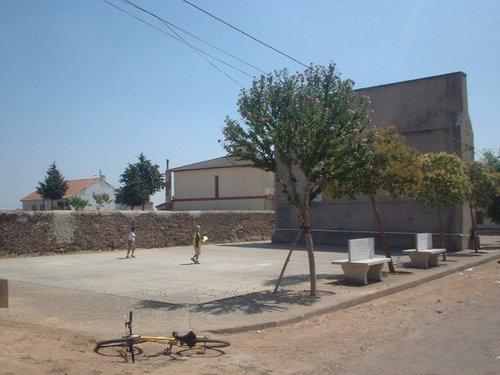 Imagen de Encina mapa 37114 6 