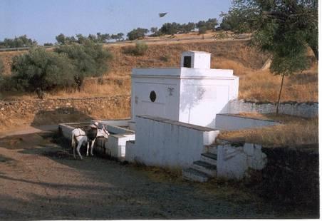 Imagen de Encinasola mapa 21390 6 