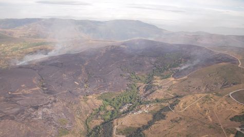 Imagen de Encinedo mapa 24745 4 