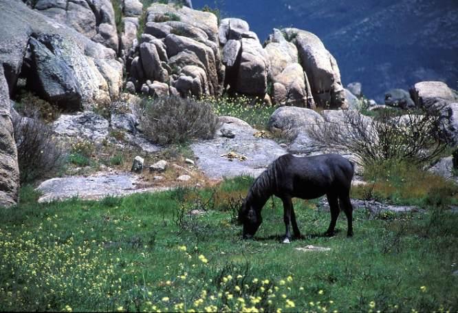 Imagen de Entrimo mapa 32860 3 