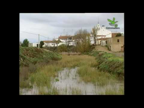 Imagen de Entrín Bajo mapa 06197 6 