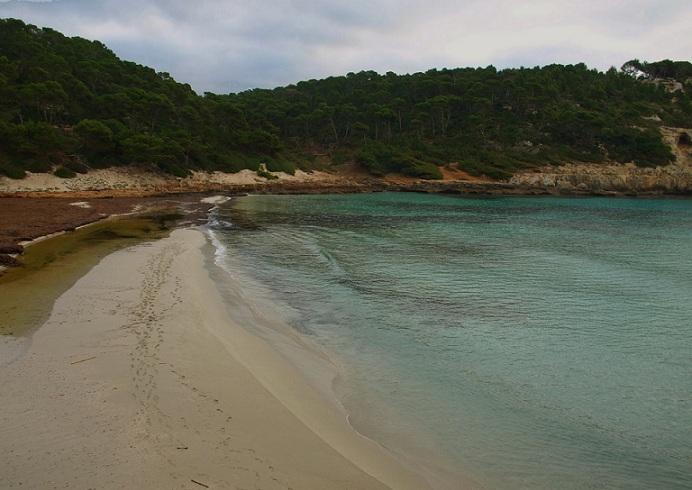 Imagen de Es Migjorn Gran mapa 07749 5 