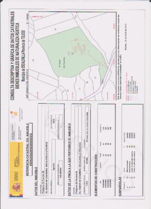 Imagen de Escalonilla mapa 45517 5 