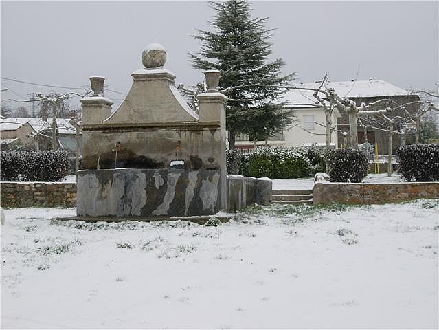 Imagen de Espadañedo mapa 49342 4 