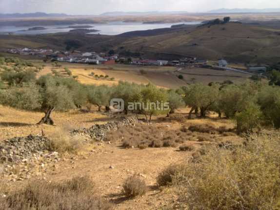 Imagen de Esparragosa de Lares mapa 06620 4 