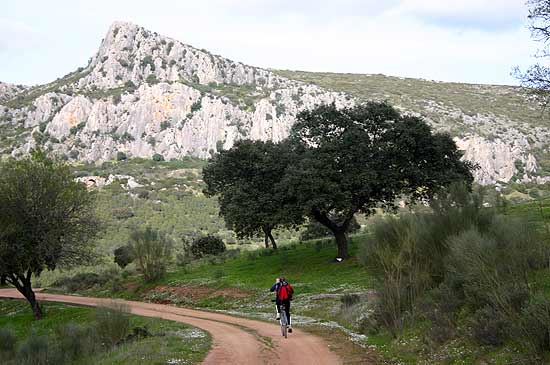 Imagen de Espiel mapa 14220 5 